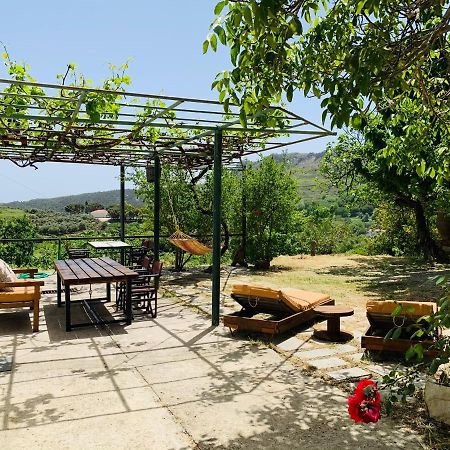 Temenia House Villa Bagian luar foto