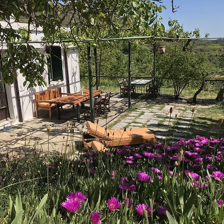 Temenia House Villa Bagian luar foto