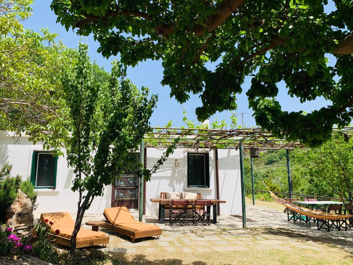 Temenia House Villa Bagian luar foto
