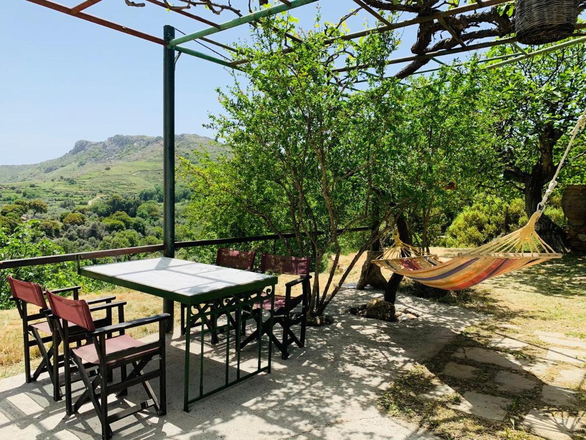 Temenia House Villa Bagian luar foto