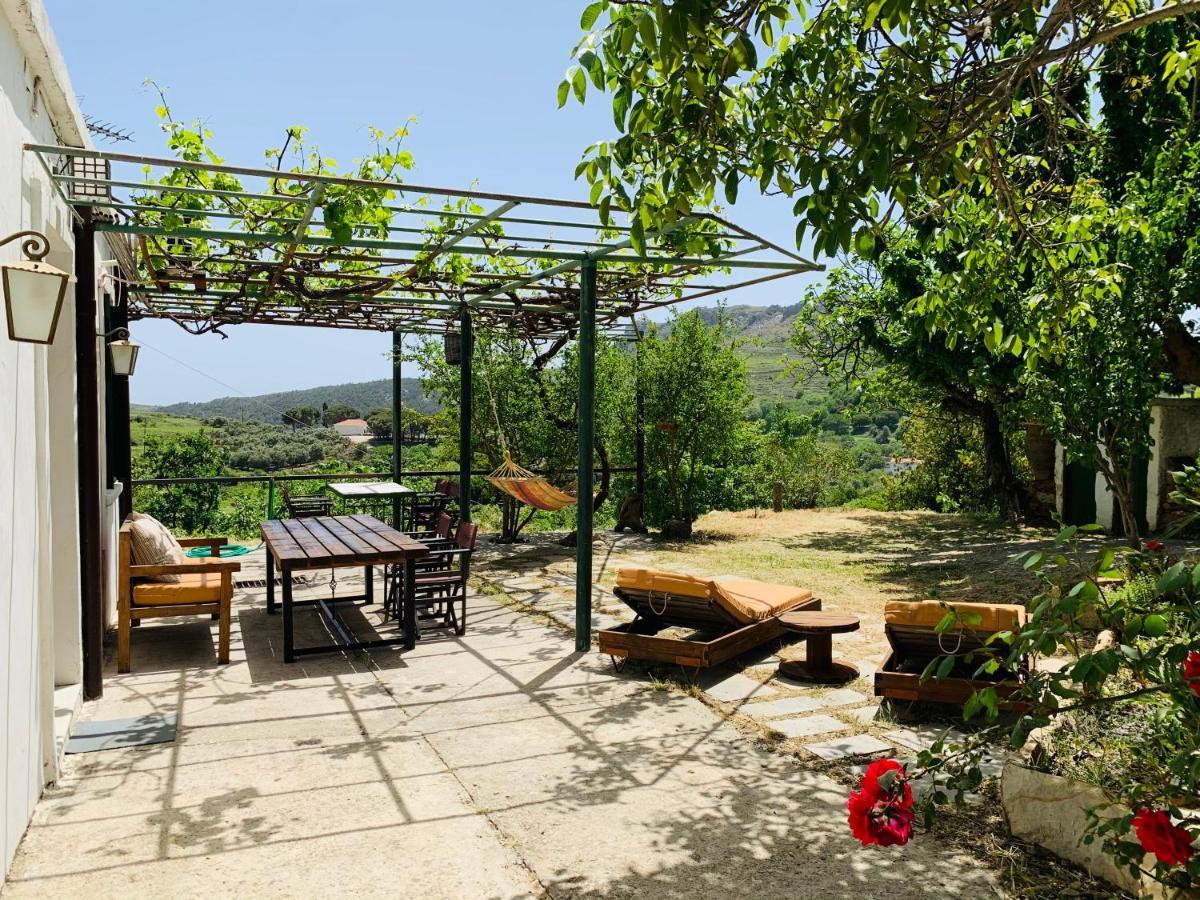 Temenia House Villa Bagian luar foto