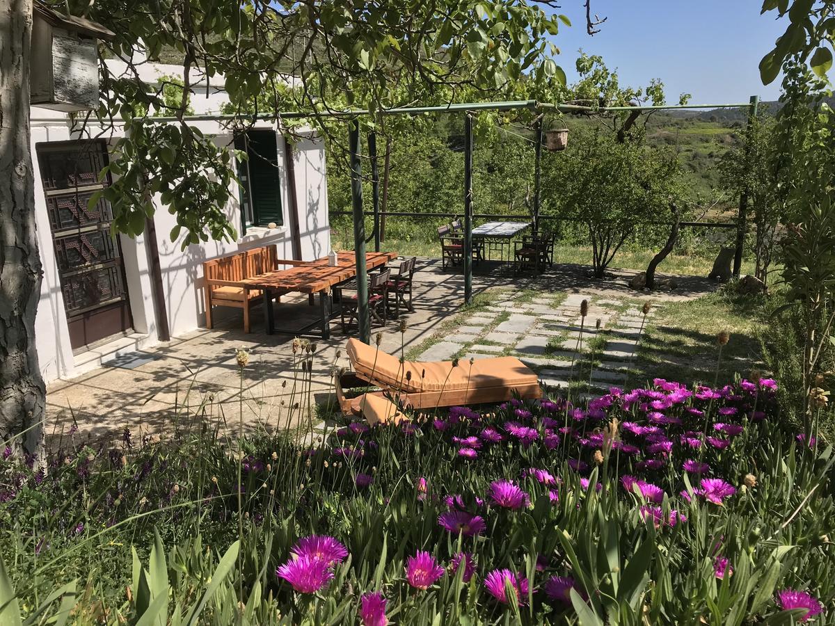 Temenia House Villa Bagian luar foto